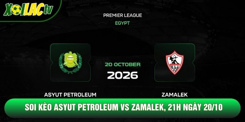 Soi Kèo Asyut Petroleum Vs Zamalek, 21h Ngày 20/10 – Giải Vđqg Ai Cập 2026